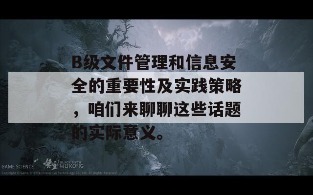 B级文件管理和信息安全的重要性及实践策略，咱们来聊聊这些话题的实际意义。