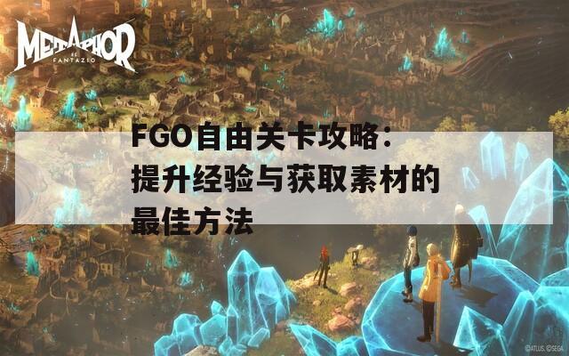 FGO自由关卡攻略：提升经验与获取素材的最佳方法