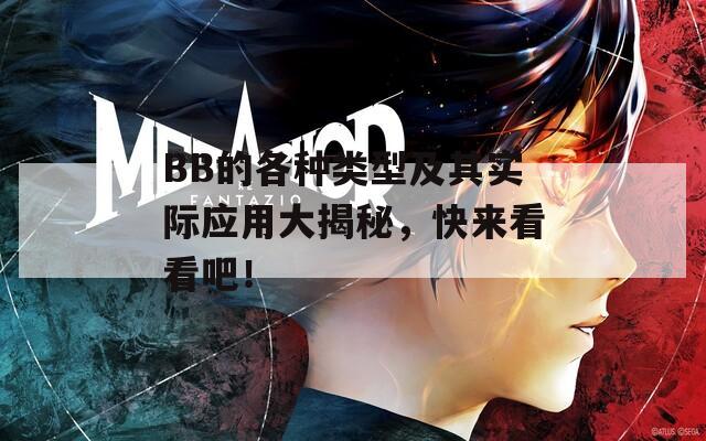 BB的各种类型及其实际应用大揭秘，快来看看吧！