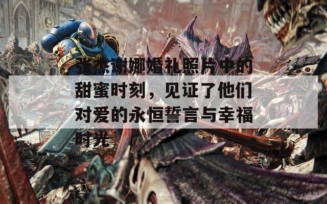 张杰谢娜婚礼照片中的甜蜜时刻，见证了他们对爱的永恒誓言与幸福时光