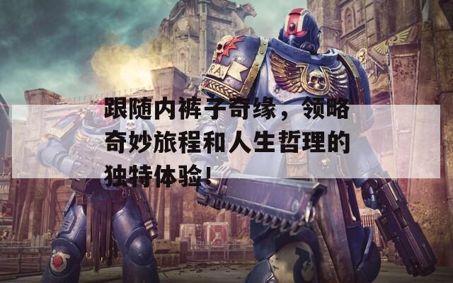 跟随内裤子奇缘，领略奇妙旅程和人生哲理的独特体验！