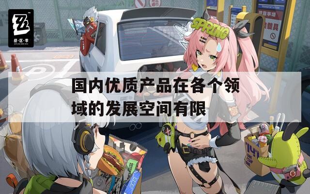 国内优质产品在各个领域的发展空间有限