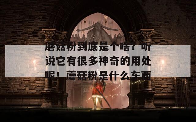 蘑菇粉到底是个啥？听说它有很多神奇的用处呢！蘑菇粉是什么东西