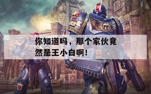 你知道吗，那个家伙竟然是王小白啊！