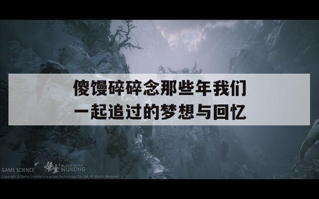 傻馒碎碎念那些年我们一起追过的梦想与回忆
