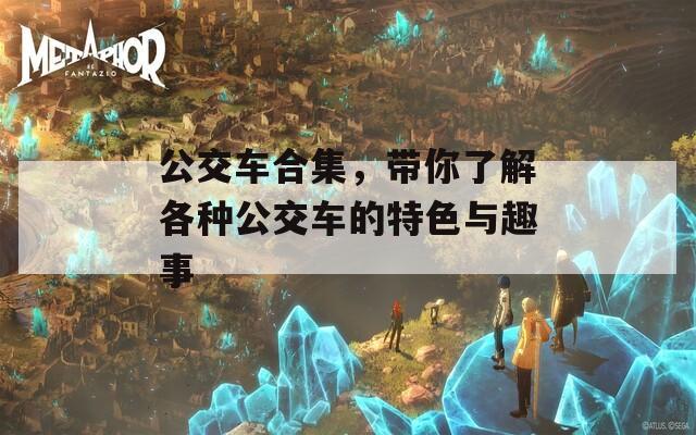 公交车合集，带你了解各种公交车的特色与趣事