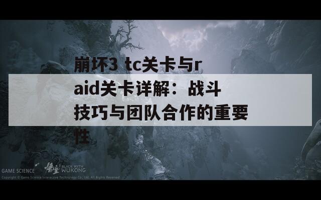 崩坏3 tc关卡与raid关卡详解：战斗技巧与团队合作的重要性