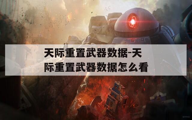 天际重置武器数据-天际重置武器数据怎么看