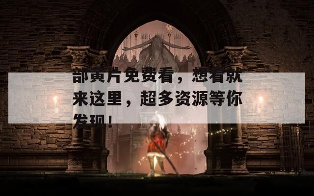部黄片免费看，想看就来这里，超多资源等你发现！