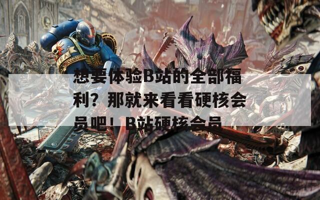 想要体验B站的全部福利？那就来看看硬核会员吧！B站硬核会员