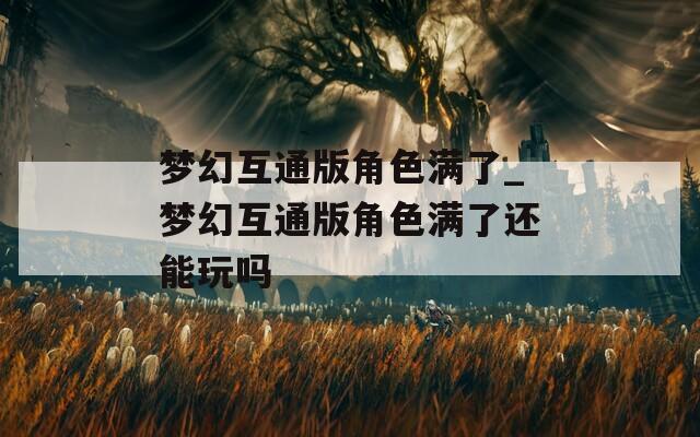 梦幻互通版角色满了_梦幻互通版角色满了还能玩吗